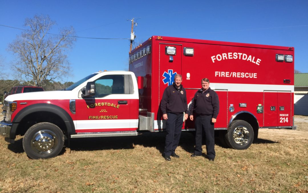 Forestdale Type I Remount
